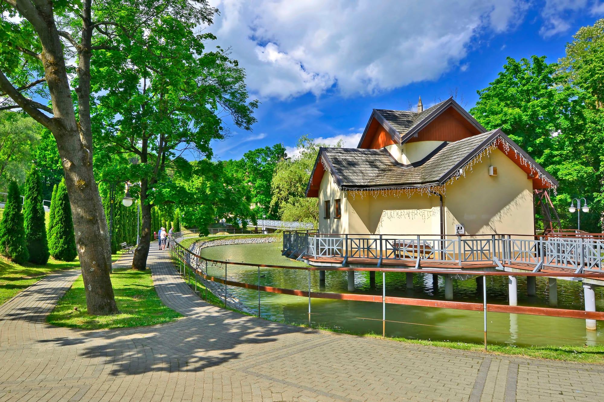 Kur in Rymanów-Zdrój