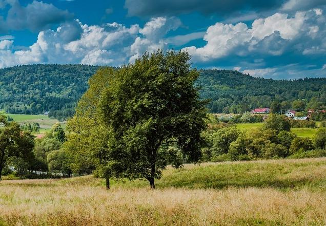 Kur in Wysowa-Zdrój