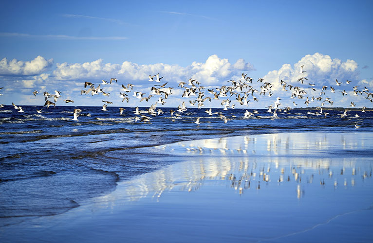 Jurmala