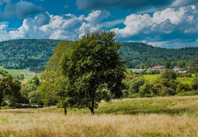 Wysowa-Zdrój