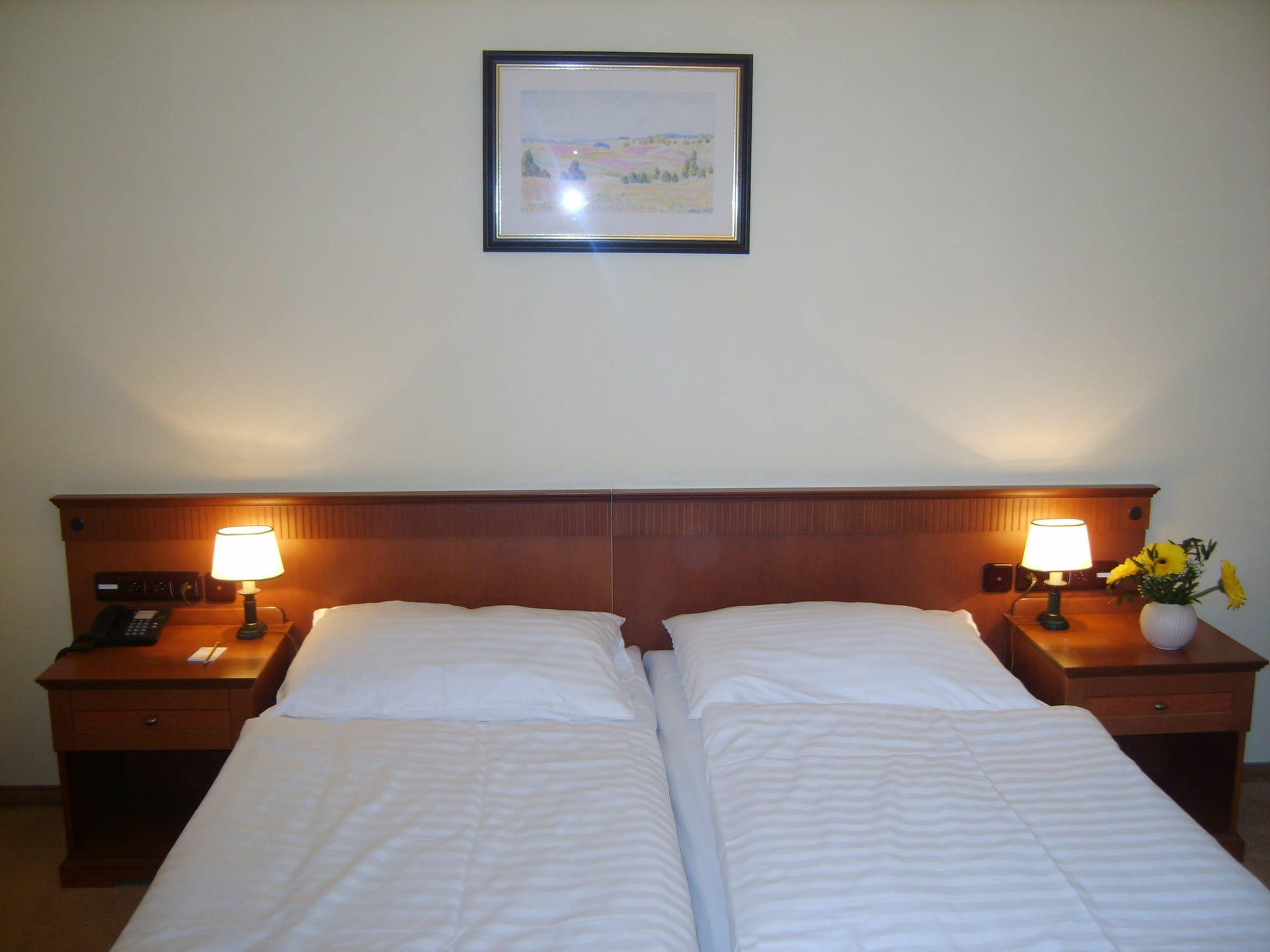 Standard Doppelzimmer im Parkhotel Richmond