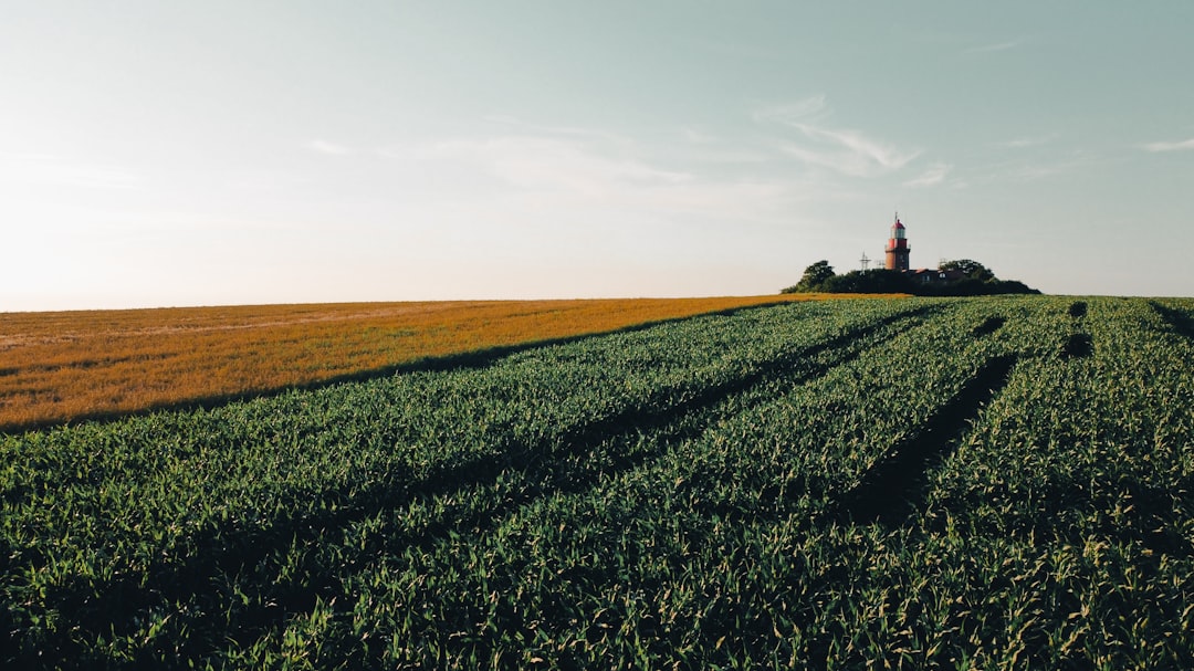 Mecklenburg-Vorpommern