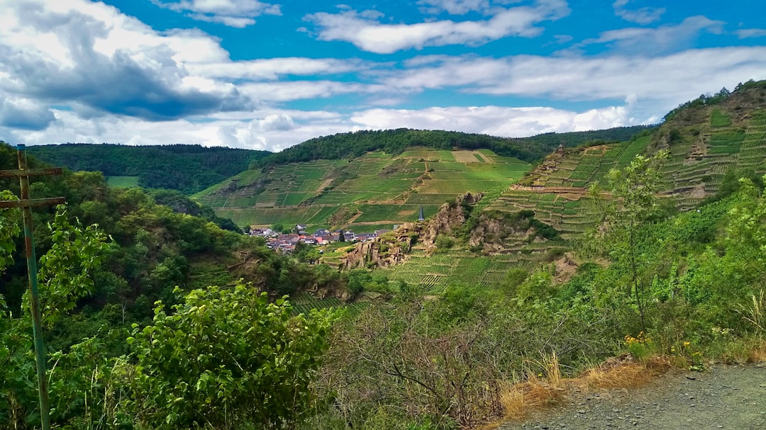 Rheinland-Pfalz