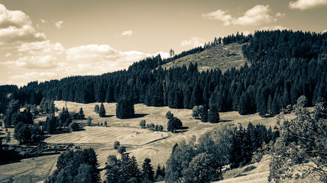Thüringen